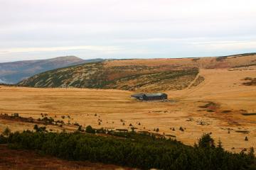 Krkonoše - tundra